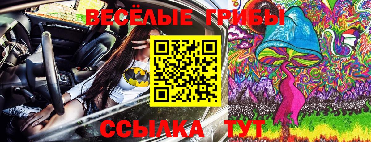 Норильск  Псилоцибиновые грибы мухоморы  Вход с VPN 